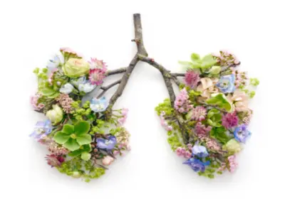 Åndedræts Workshop